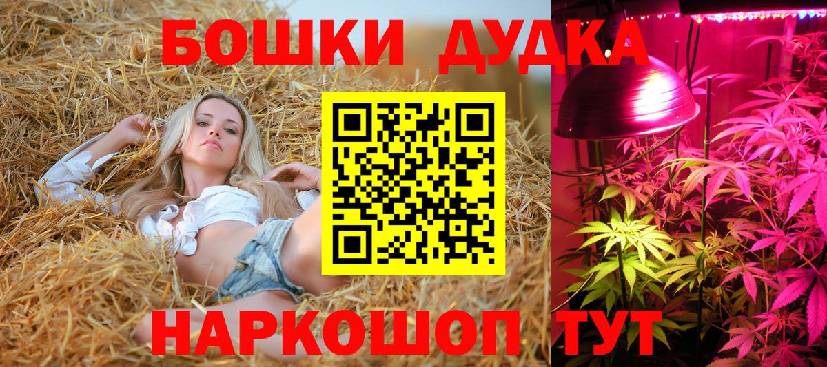 Бошки марихуана конопля Ахтубинск