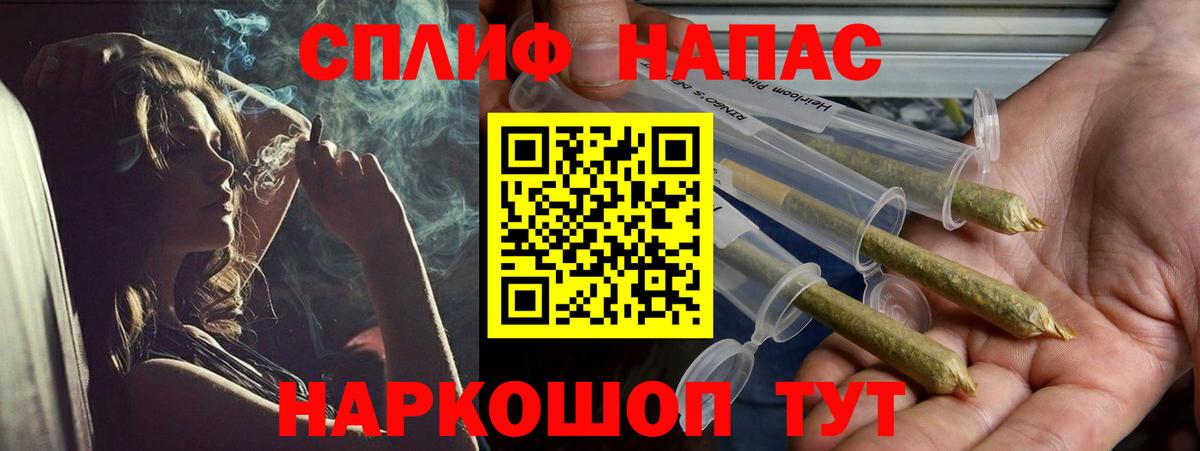 Конопля ГИДРОПОН  Каннабис Ganja  Конопля планчик  Вход с VPN  Ахтубинск 